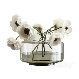 Bouquet of anemones